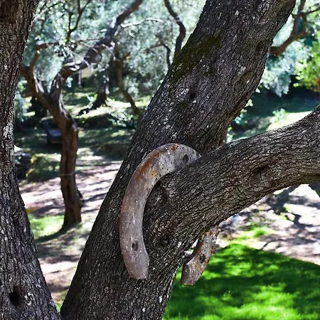 Mavres Luxury Ágios Matthaíos